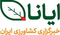 ایانا